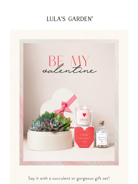 Succulent Garden Gifts For Your Valentine! 💝