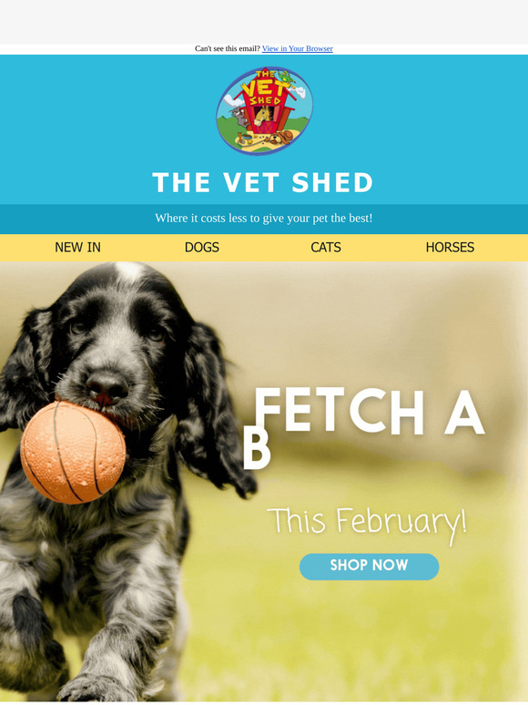 💰 Treat Your Pets for Less!
