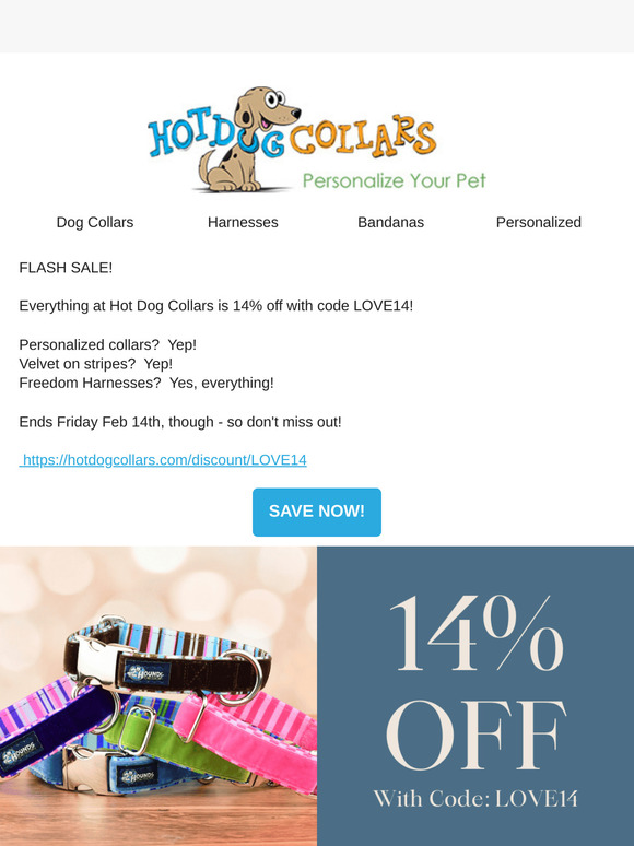 Love your dog & Save 14% at Hot Dog Collars!