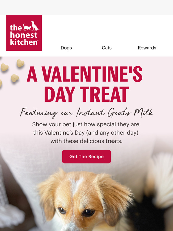 Treat Your Canine (or Feline) Valentine 💘