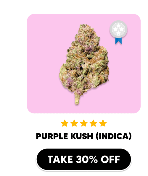 Purple Kush