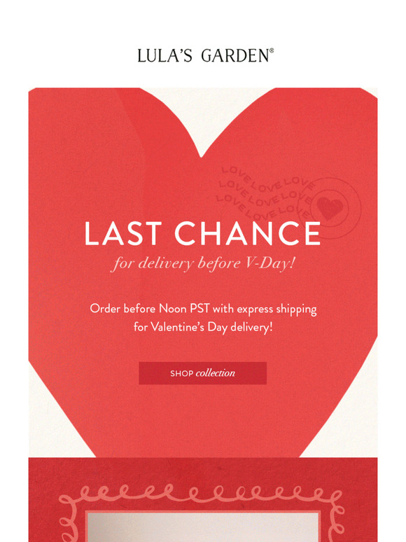 Order Now With Express Shipping - Valentine's Day Gifts For Your Loved One! 💞