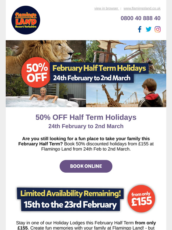 February Half Term at Flamingo Land
