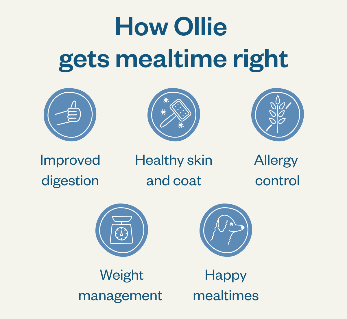 How Ollie gets mealtime right Improved digestion Healthy skin and coat Allergy control Weight management Happy mealtimes