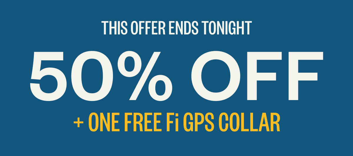 This offer ends tonight! 50% off + a FREE Fi GPS Collar 