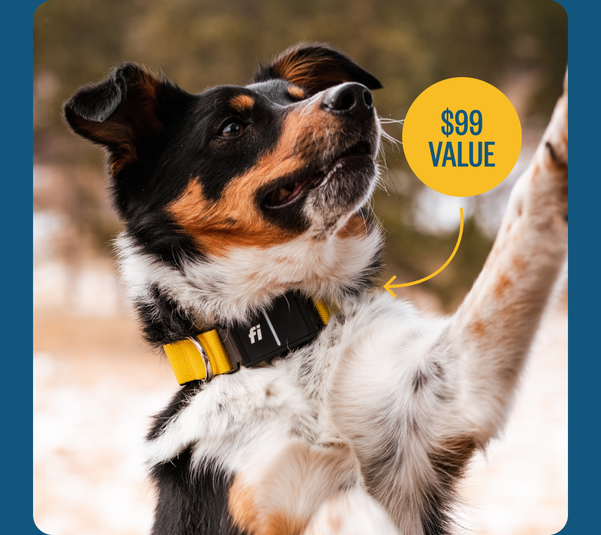 $99 value