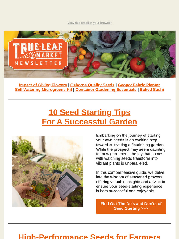 Kickstart Your Garden: Shop Seed Starting & Container Essentials | TLM Newsletter