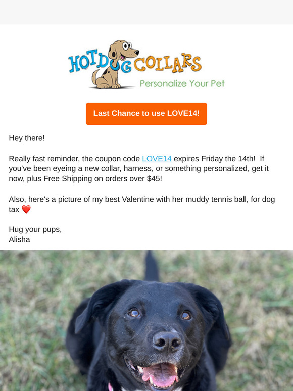 Last Chance for 14% off at Hot Dog Collars!