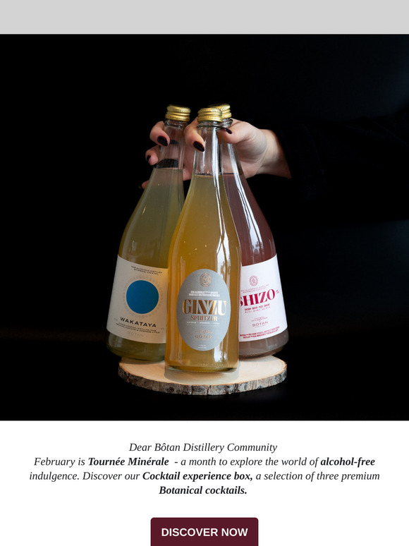 🍸A Refined Cocktail Experience—Alcohol-Free!