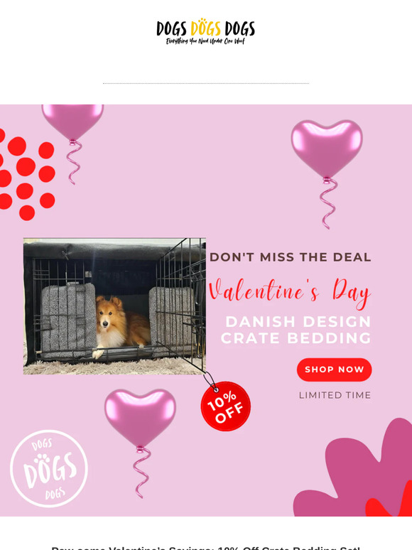 A Valentine’s Treat for You and Your Dog ❤️🐶