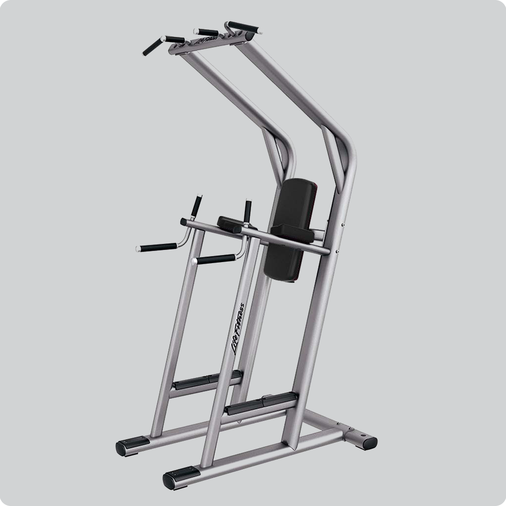 Chin/Dip/Leg Raise