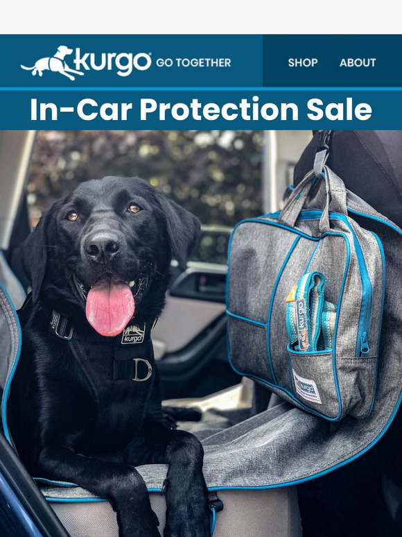 Full-Coverage for Less - Shop Now!🐾