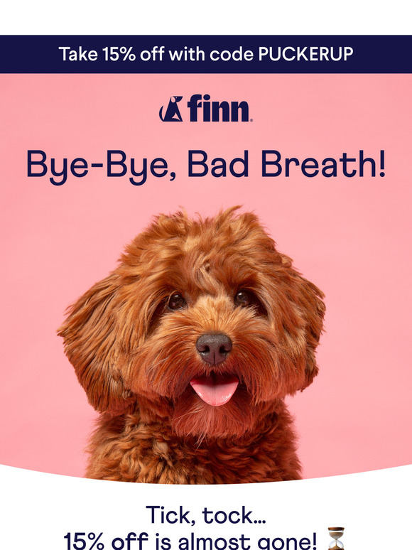 Last Call! 15% Off for Your Furry Valentine 💖
