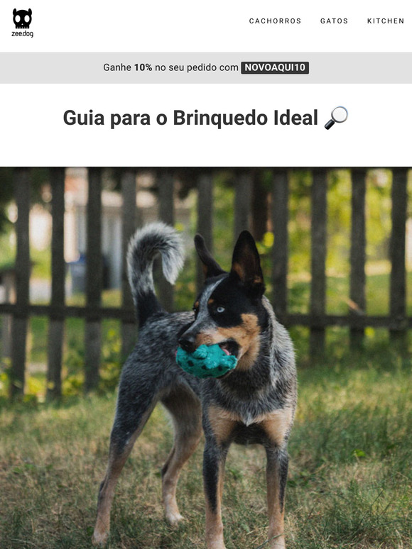 Guia para o Brinquedo Ideal 🔎