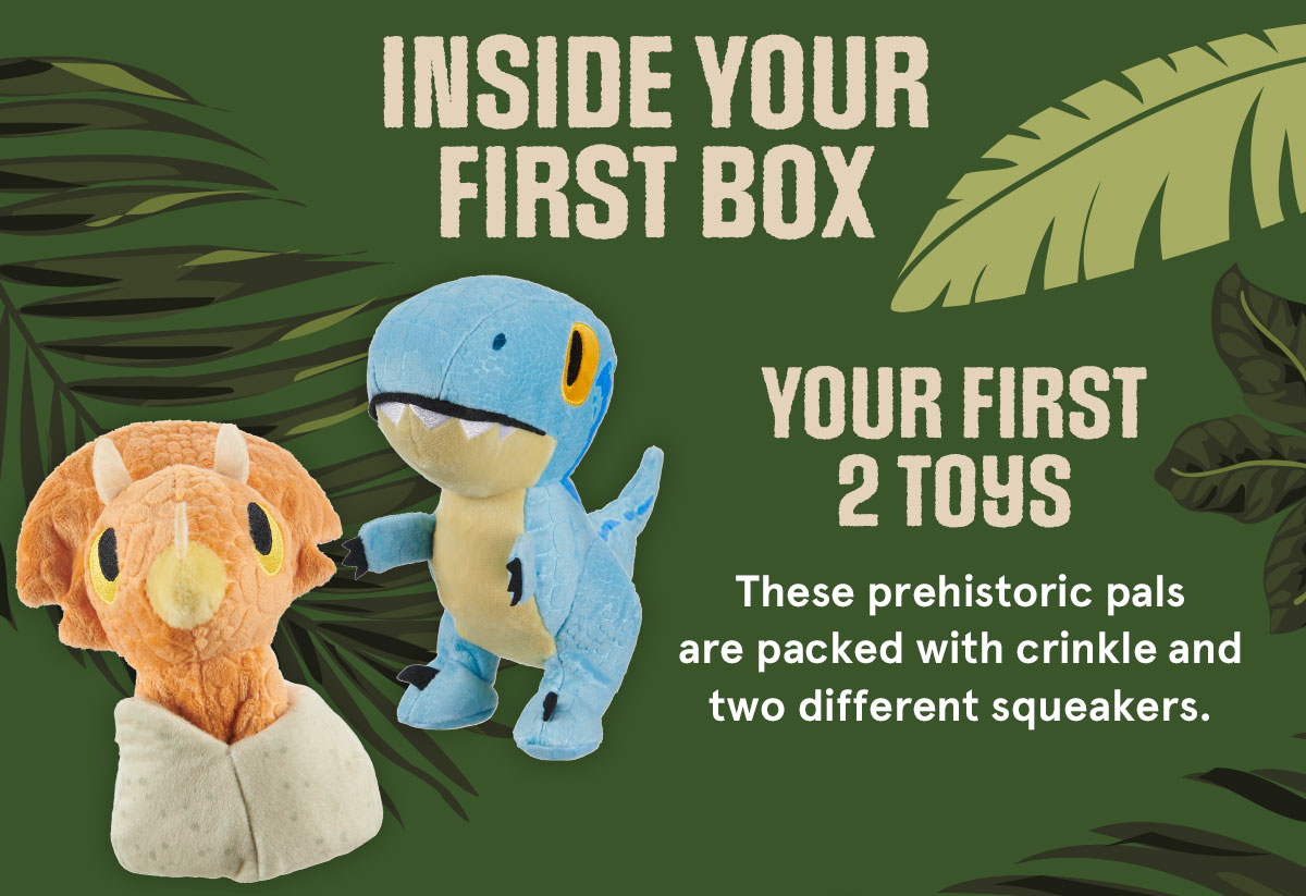 Inside the box