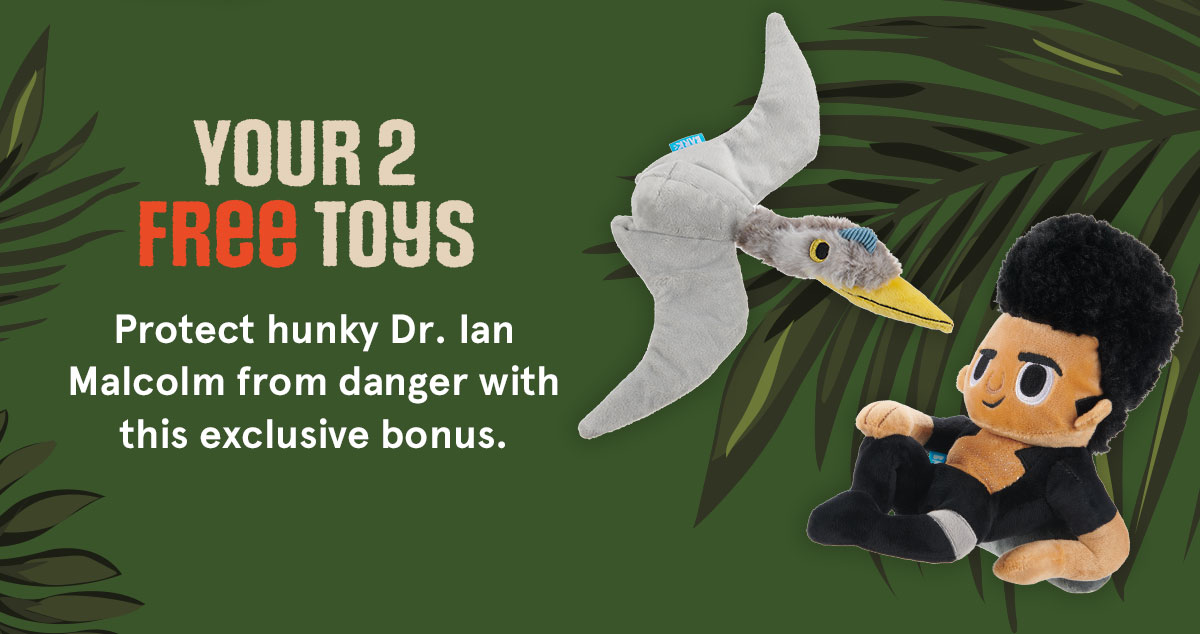 2 free toys
