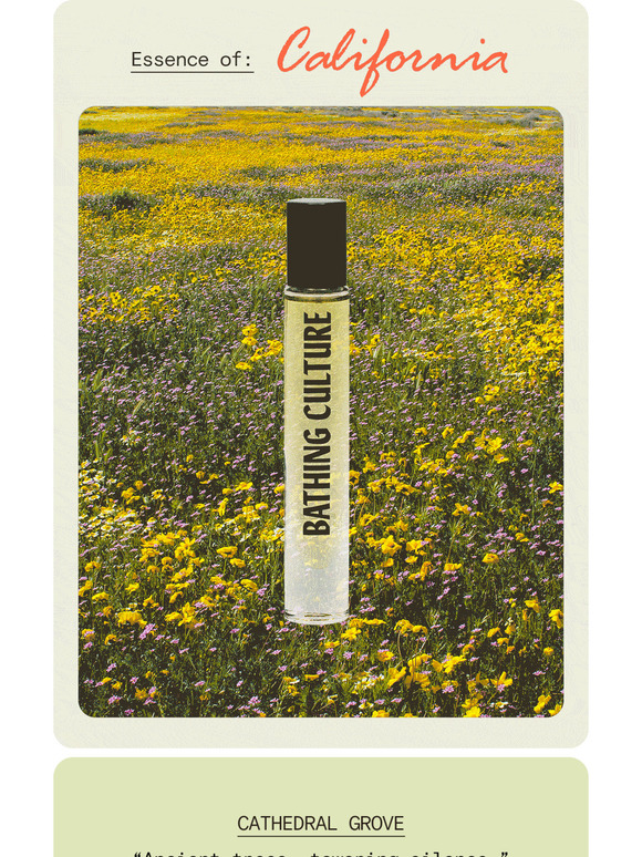 What's your scent?