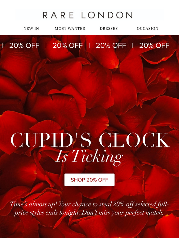 Last Chance: 20% Off Ends Tonight 🕛