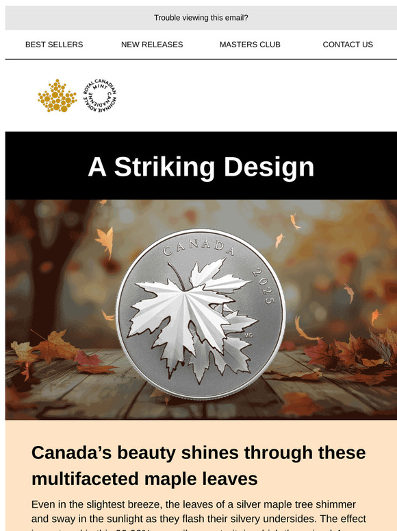 A multifaceted maple portrait