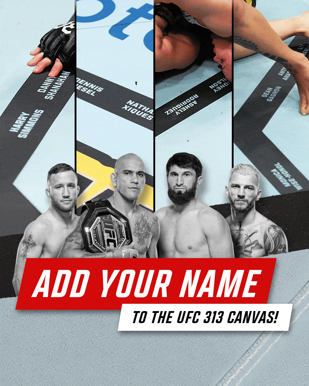 313 NAME ON CANVAS