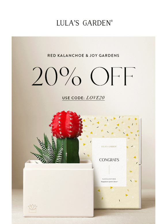 Valentine's Day After-Party Sale Starts Now! ❤️
