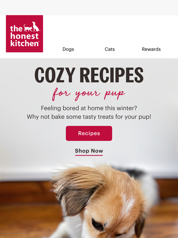 Ready To Bake With Your Pup?👩‍🍳