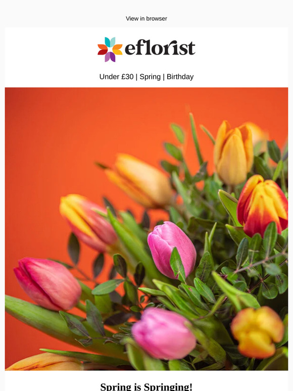 Say hello to Spring 🌷
