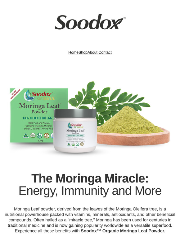 The Moringa Miracle: Energy, Immunity, and More