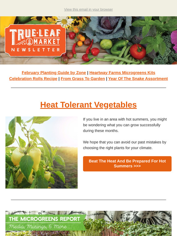 ☀️ No Wilting Here! Heat-Tolerant Vegetables to Grow | TLM Newsletter