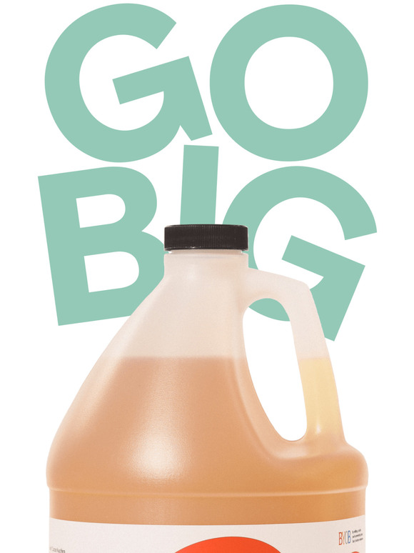 Go big and stay home