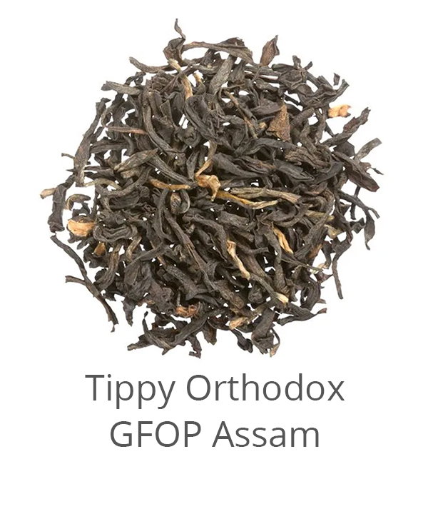 Tippy Orthodox GFOP Assam