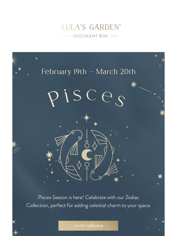 It's Time To Celebrate Your Pisces Friends! ♓️