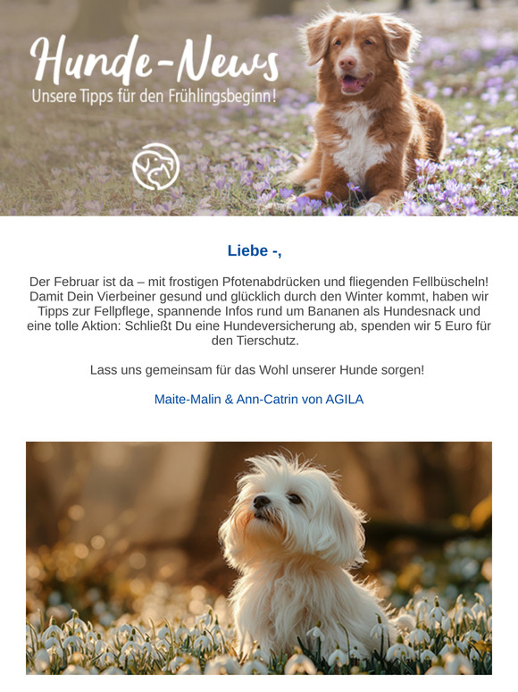 Gemeinsam Gutes tun im Februar – wir spenden für den Tierschutz!