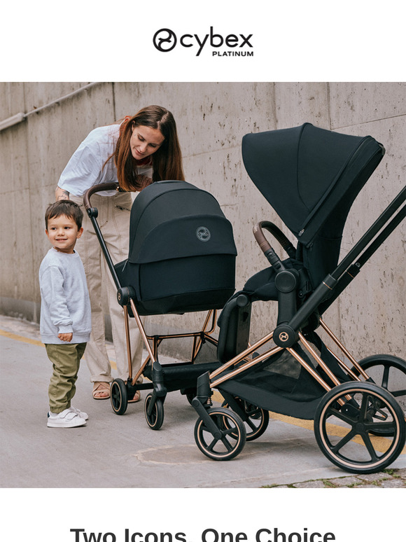 Which Stroller Will Be Yours?
