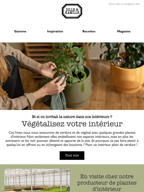 Végétalisez votre intérieur