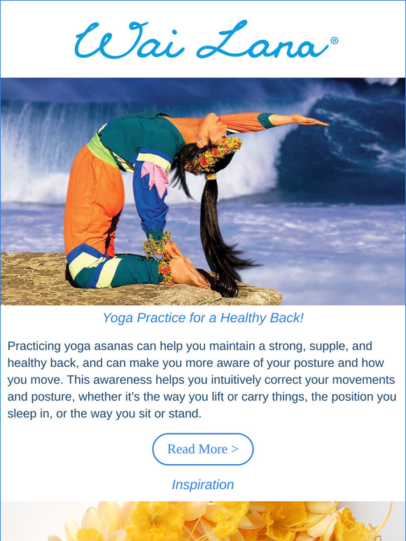 Yoga Practice for a Healthy Back!