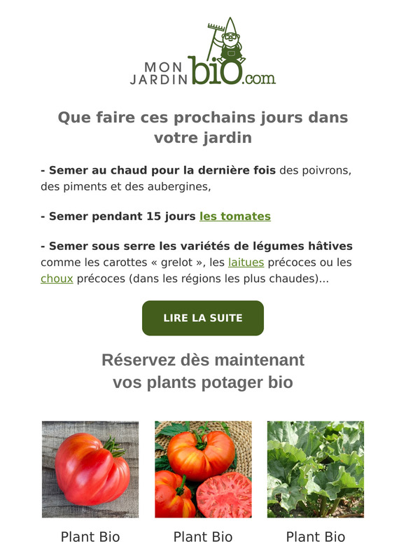 Réservez dès maintenant vos plants potager bio 🫑 🍅 🍆