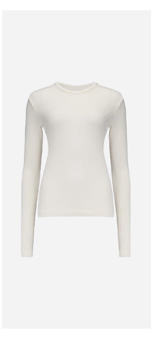 Bina Crew Neck Top In Pashmina