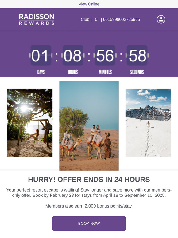 ⏰ Final Call! Offer ends tonight
