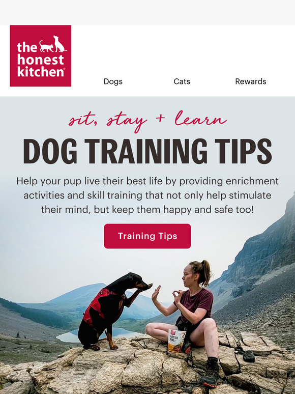 Is Your Dog Bored? Try These Training & Enrichment Ideas! 🐶