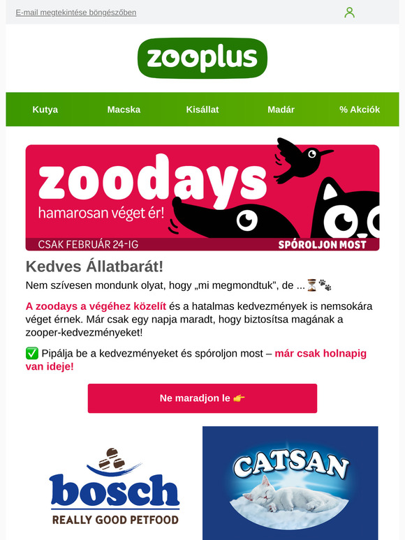 ⏰🙀 Holnap véget ér a zoodays