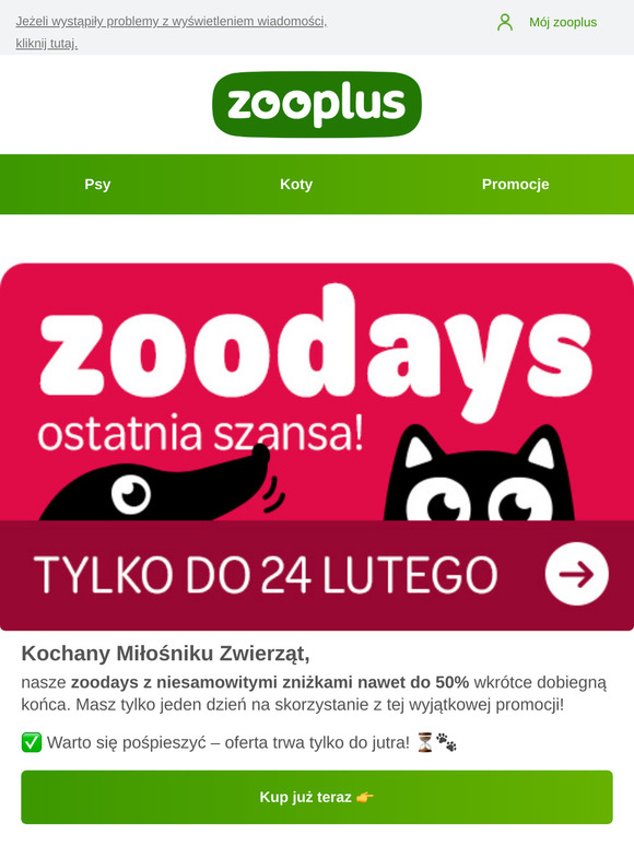 ⌛Jutro ostatnia szansa – zoodays już się kończą