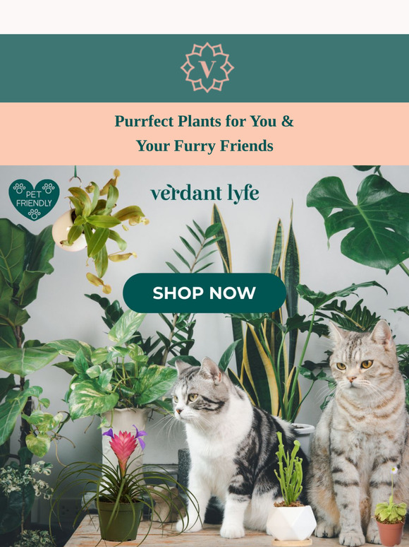 🪴🦗 Pet-Safe Plants & Nature’s Own Pest Control! 🐾💚