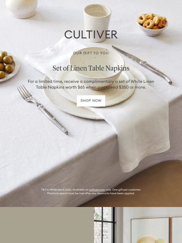 A Gift to You: Set of Linen Napkins