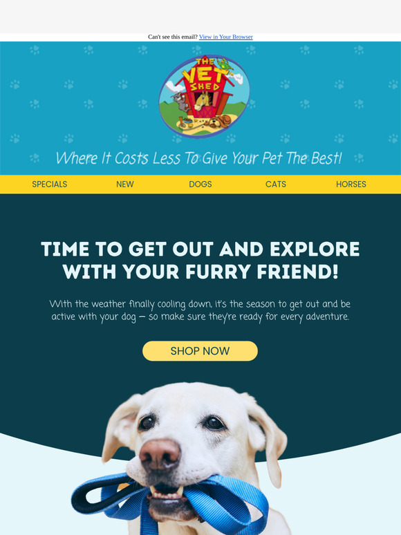 It's time to get moving with your dog! 🏃‍♀️🐕