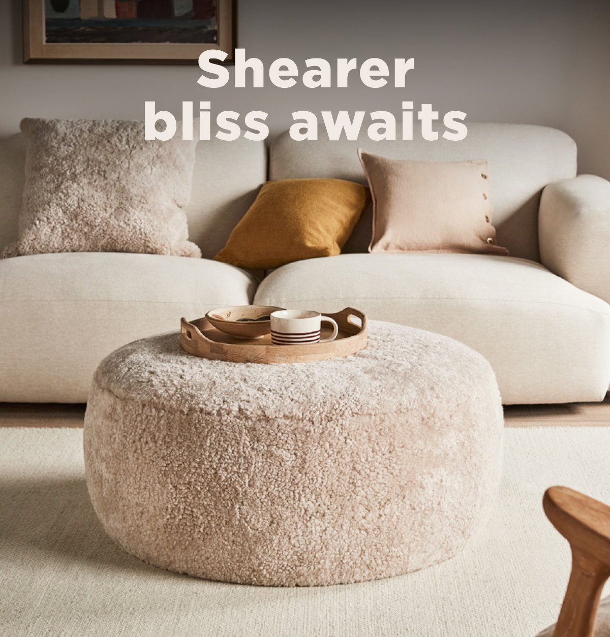 Shearer bliss awaits