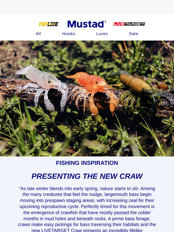 INCOMING: The Hottest Crawfish on the Market