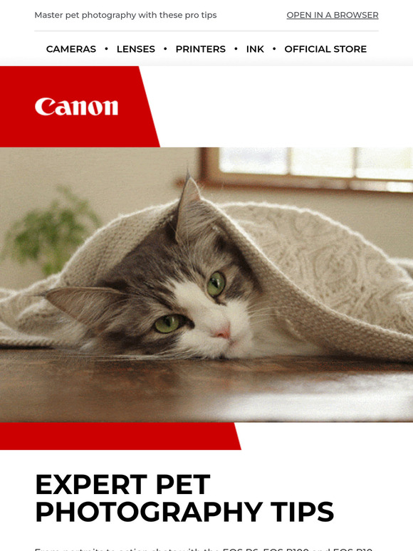 —, get your beloved pets in frame
