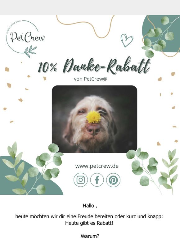 , Du bist einfach toll! 🤩 🐕 - kurz und knapp: Heute gibt´s Rabatt