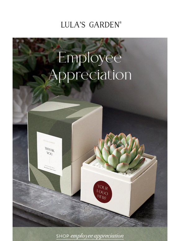 Show Your Appreciation: Perfect Employee Gifts for Every Team Member!